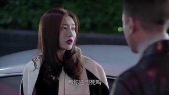 h色在线观看,揭秘网络色情内容的隐秘世界