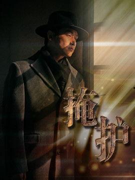 掩护电视剧在线观看,揭秘抗战岁月中的谍战传奇，在线观看重温红色经典